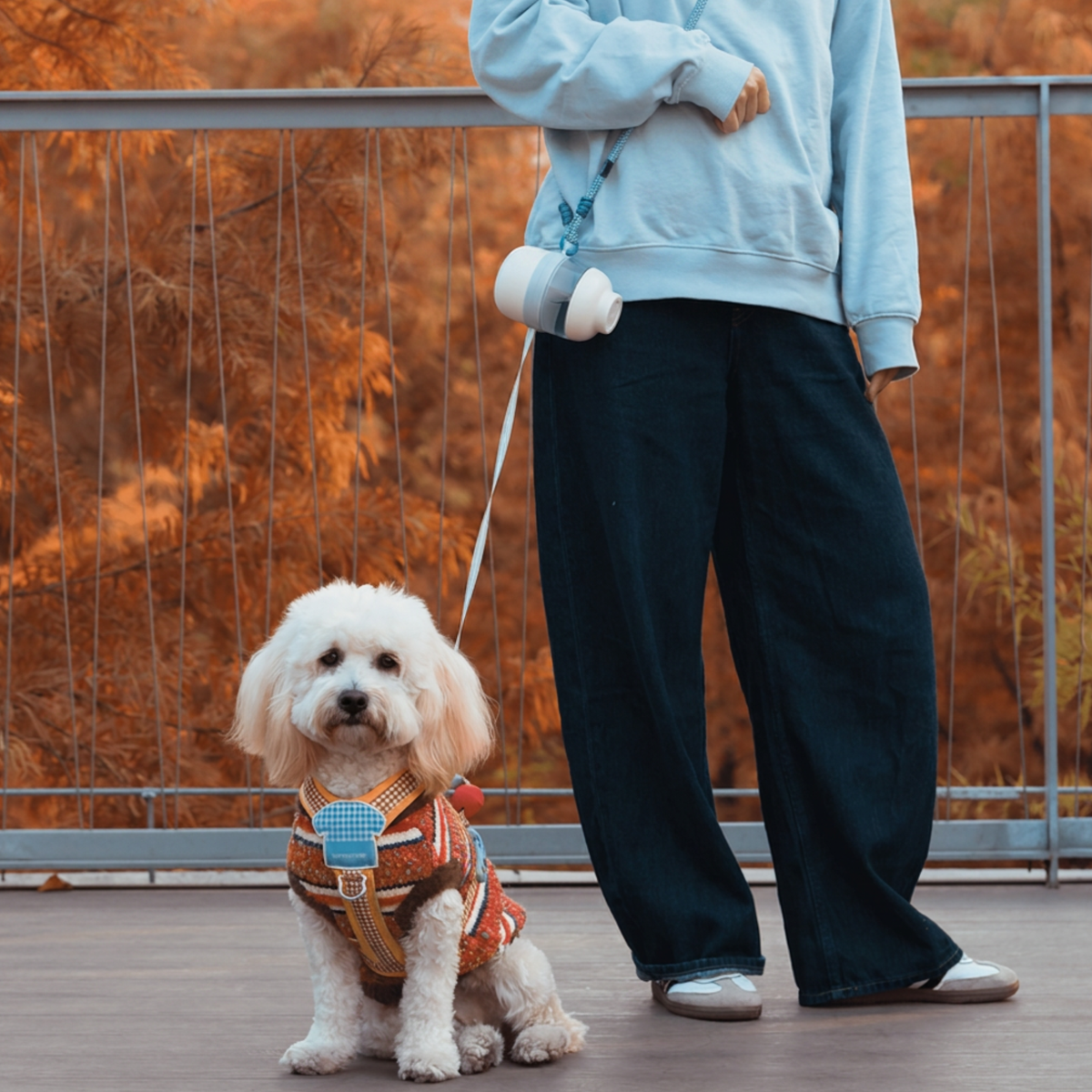 Dogzy Nomad™