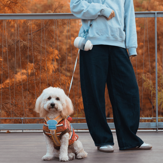 Dogzy Nomad™